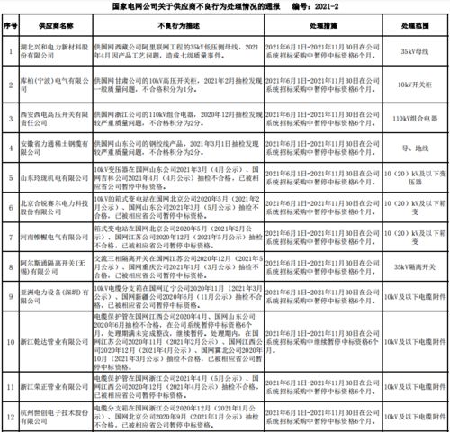 國家電網公司2021年6月供應商不良行為處理情況通報 聚焦數據處理服務領域